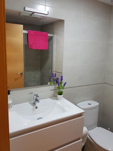 a bathroom with a sink and a toilet and a mirror at Apartamento centrico in Almuñécar