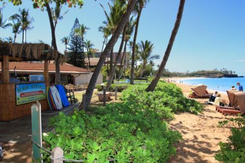 a beach with palm trees and a building and the ocean at Maui KaanapaliVilla A517 in Lahaina