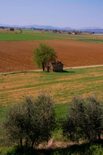 an old house in the middle of a field at Antico Borgo Casalappi in Campiglia Marittima