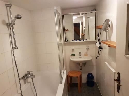 a small bathroom with a shower and a sink at Ferienhaus Heimberger in Miltenberg