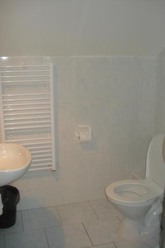a bathroom with a toilet and a sink at Penzion Seidl in Rokytnice nad Jizerou