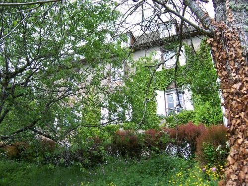 a white house with trees in front of it at Auberge Hôtel de Tournemire - Cantal in Tournemire