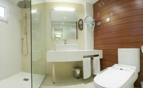 ein Bad mit einem WC, einem Waschbecken und einer Dusche in der Unterkunft Playa Miguel Beach Club in Torremolinos