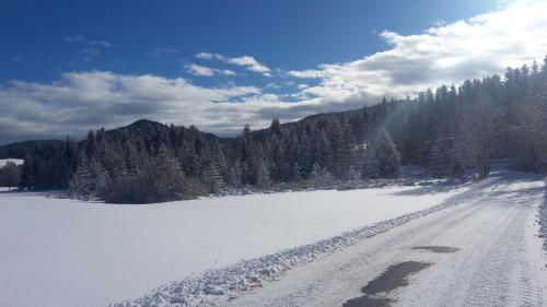 a snow covered road next to a snow covered field at Biohof Gölly in Neumarkt in Steiermark