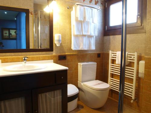 a bathroom with a toilet and a sink and a mirror at Hotel Apartamento Marouco in A Guarda