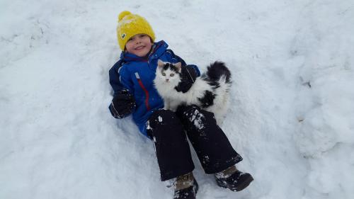 a young child sitting in the snow with a cat at Hochmuthhof in Reith im Alpbachtal