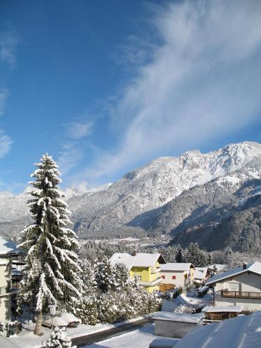 a snow covered tree in front of a mountain at Haus Mansaura in Vandans