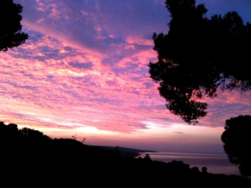 una puesta de sol sobre el océano con un rosa en La Casa di Ulisse B&B, en Quercianella