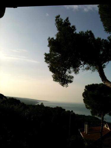 a view of the ocean from behind a tree at La Casa di Ulisse B&B in Quercianella