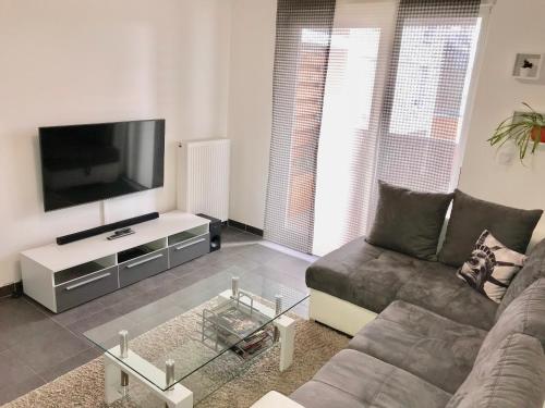 ein Wohnzimmer mit einem Sofa und einem Flachbild-TV in der Unterkunft Le T2 Appartement Moderne avec Terrasse et Parking in Straßburg