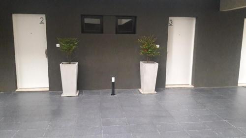 three white vases with plants in them in a room at Studio 44 in Belén de Escobar