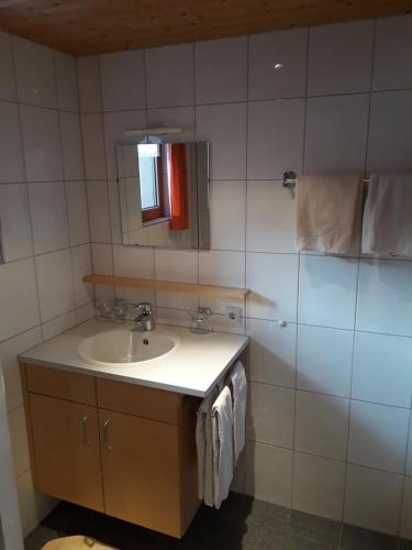 ein Bad mit einem Waschbecken und einem Spiegel in der Unterkunft Haus Erna Schoppernau in Schoppernau