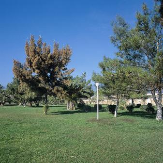 Gallery image of Nafsika Beach Delphi-Itea in Itea