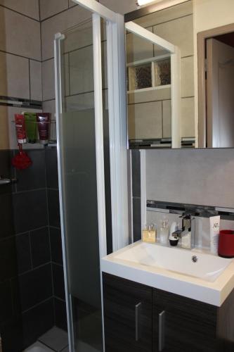 une salle de bain avec un lavabo et une douche dans l'établissement Gîte Fleur de Mer La Rochelle, à Puilboreau