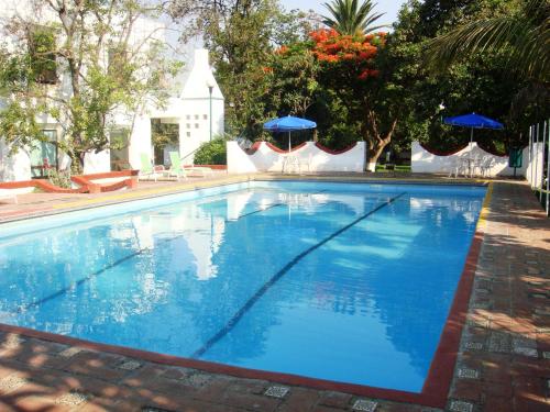 a large swimming pool with blue water at Hotel Los Olivos Spa in Oaxaca City