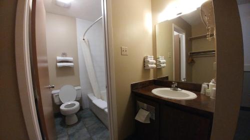 A bathroom at Vulcan Country Inn