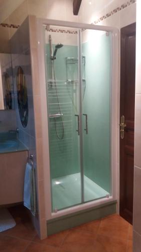 um chuveiro com uma porta de vidro na casa de banho em A La Chataigneraie em Mosnes