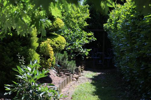 Un jardín fuera de Gîte au centre de l'alsace