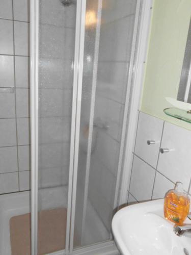 a bathroom with a shower and a sink and a sink at Hildfelder Stübchen in Winterberg