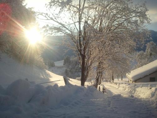 Stangleggerhof en invierno