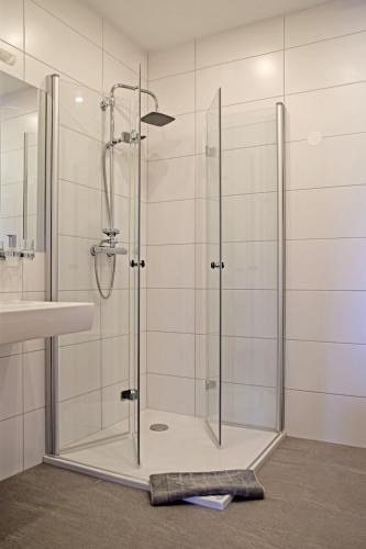 a shower with a glass door next to a sink at Theresienhof in Petschnitzen