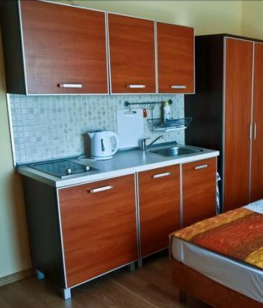 una piccola cucina con mobili in legno e un lavandino di Willa Solan a Ciechocinek