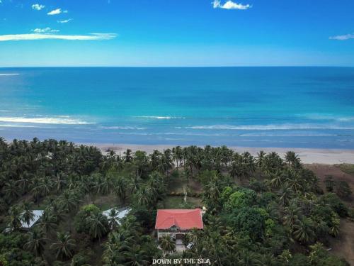 Down by the Sea Beachfront Studio – Photos 5