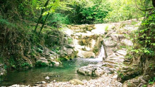 a river with a waterfall in a forest at Casa del'Orto in Bigliolo