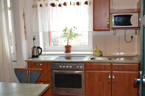 Apartment Sova – Photos 5