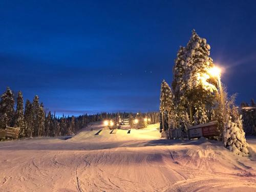 a snow covered ski slope at night with a tree at Toola-Lodge in Syöte