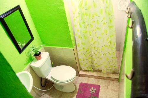 a small green bathroom with a toilet and a sink at Natura Vista in Panglao