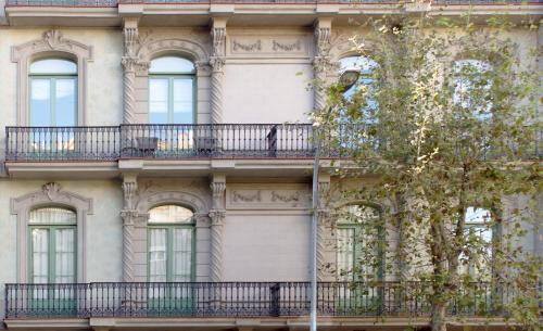 Black Swan Hostel Barcelona