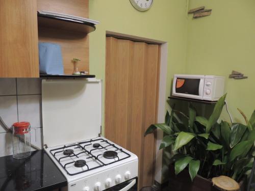 ベレホヴェにあるApartment on Stefanyka 42/5のキッチン(白いコンロ、電子レンジ付)