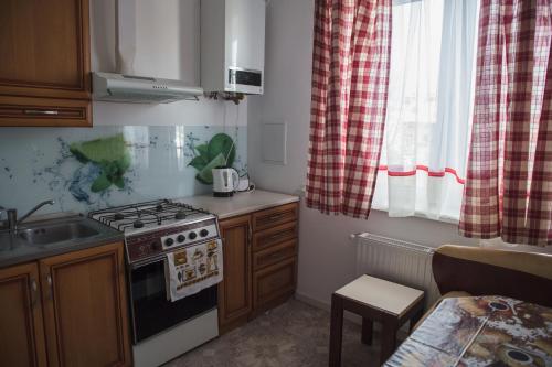 a small kitchen with a stove and a sink at Apartamenty Lwow in Lviv