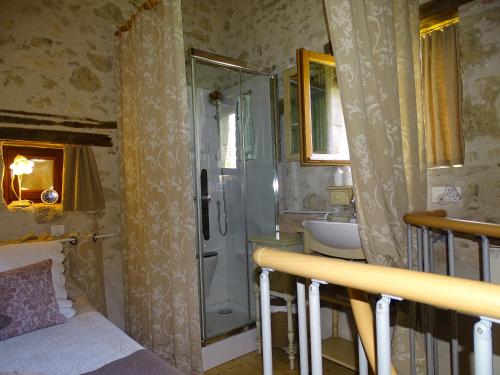 a bathroom with a shower and a toilet and a sink at Chambre d'Hôtes Le Pigeonnier de Quittimont in Lacépède