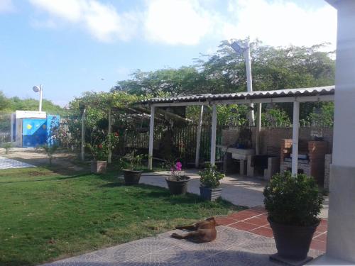 a dog laying on the ground in a garden at Casa de Campo Palmarito in Tubará