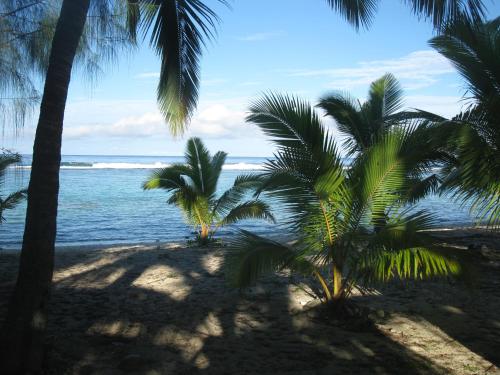 two palm trees on a beach near the water at Oronga Beach in Arorangi