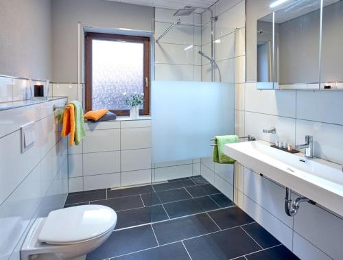 ein Bad mit einem WC und einem Waschbecken in der Unterkunft Casa Salinum in Bad Kreuznach