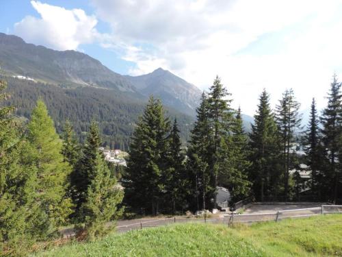 a road in a field with trees and mountains at Montalin (451 Ti) 1. Stock in Valbella