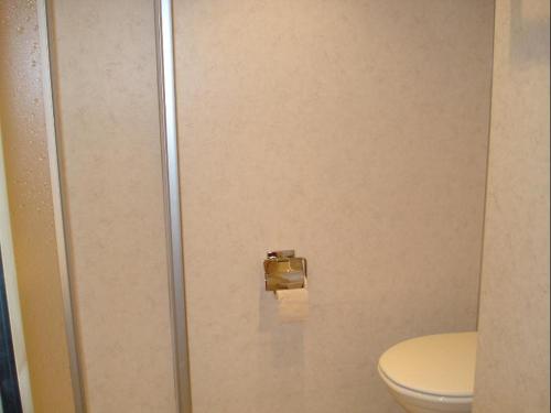 a bathroom with a toilet and a toilet paper dispenser at Las Bargias 12 (407 Ho) in Lenzerheide