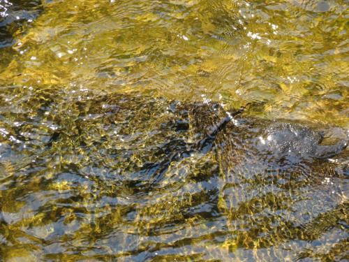 a close up of the water with rocks at Apartment Bajka in Mokra Gora