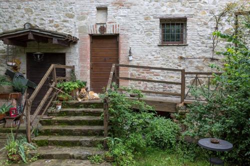 a dog sitting on the stairs of a building at Agriturismo Il Poggio degli Scoiattoli in Perugia