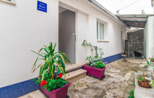 a building with three potted plants in front of it at Apartment Antica in Povlja