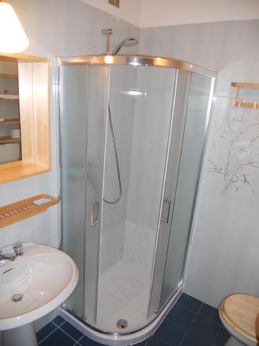 a bathroom with a shower and a sink at The silence holiday apartment in Lezzeno