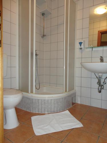 a bathroom with a shower and a toilet and a sink at Prenoćište "Magnus" in Slavonski Brod
