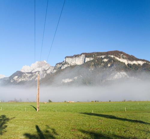 a telephone pole in a field with a mountain at Haus Treffer in Kirchdorf in Tirol