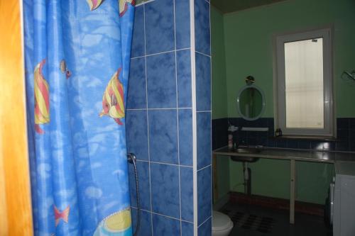 a bathroom with a shower curtain with a toilet and a sink at Dacha u Morya Bugaz in Gribovka