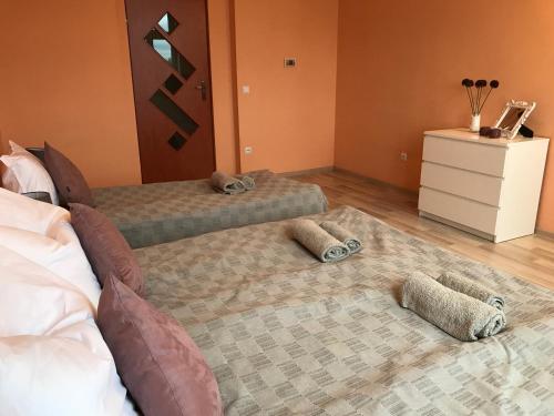 Ένα ή περισσότερα κρεβάτια σε δωμάτιο στο Renovated apartment in Opole