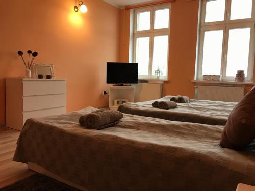Μια τηλεόραση ή/και κέντρο ψυχαγωγίας στο Renovated apartment in Opole