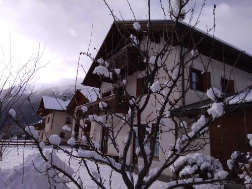 a building with snow on the branches of a tree at Casa dello Sciatore in Bormio